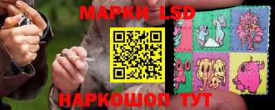 тгк Кингисепп