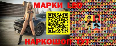 тгк Кингисепп