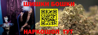 тгк Кингисепп