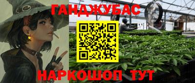 стаф Кинель
