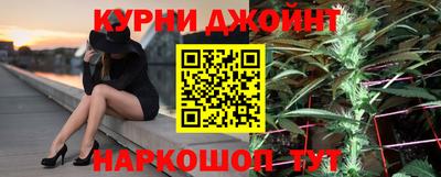 стаф Кинель