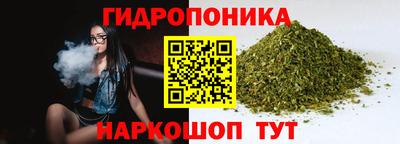 стаф Кинель
