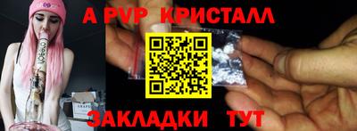 тгк Кингисепп
