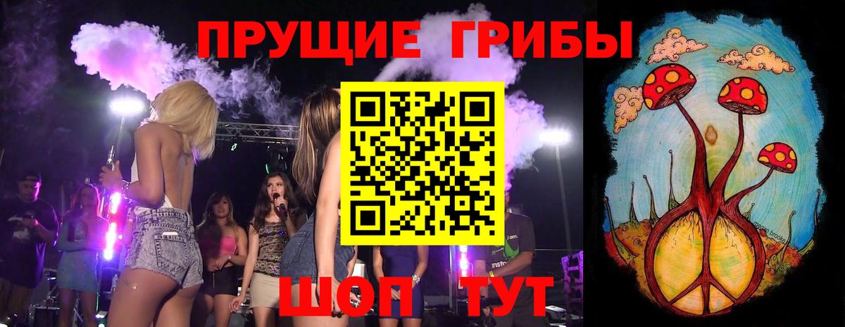 Псилоцибиновые грибы Cubensis  наркошоп  Кисловодск  Вход с VPN 