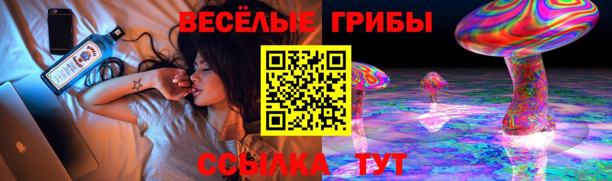 Псилоцибиновые грибы Cubensis Кисловодск